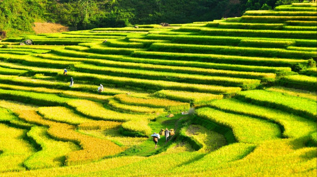 Du lịch Mai Châu Trekking 